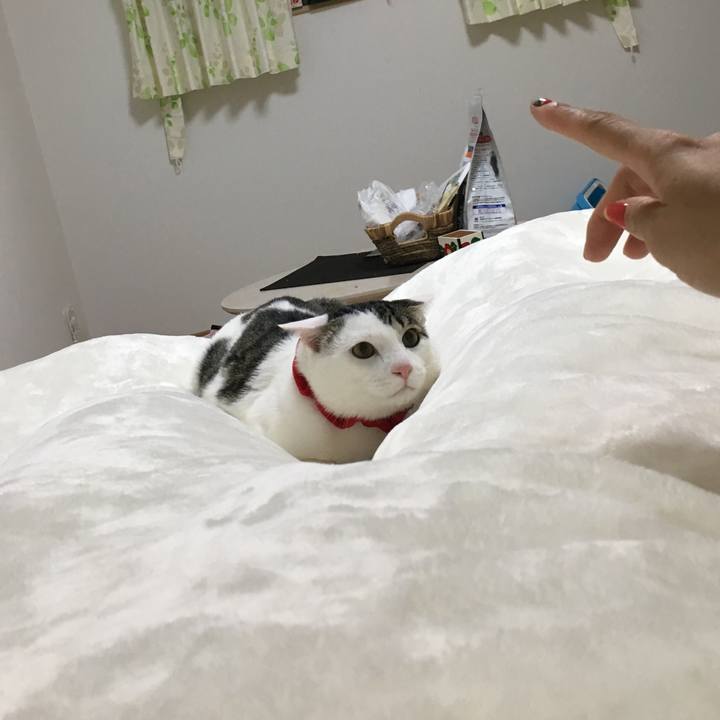 Ec5521ec 05ac 4202 aa9e 896f3ba9bcc2