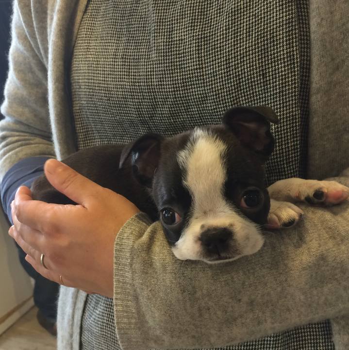 Ec556923 fba2 401e 9305 bbd2fa1e66d5