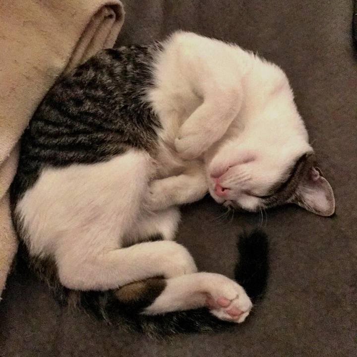 Ec558084 4236 4b0f b60c ad63bd7928f0