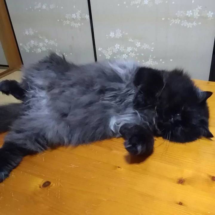 Ec56cd47 6b16 4580 bef7 f333c614cd51