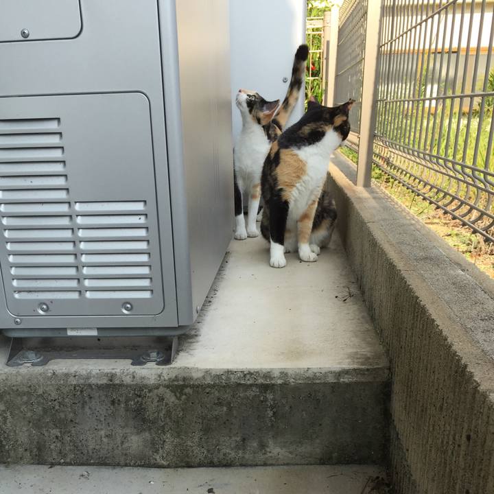 Ec56f7c3 fe86 41b8 a8b9 fd61e0472bbc