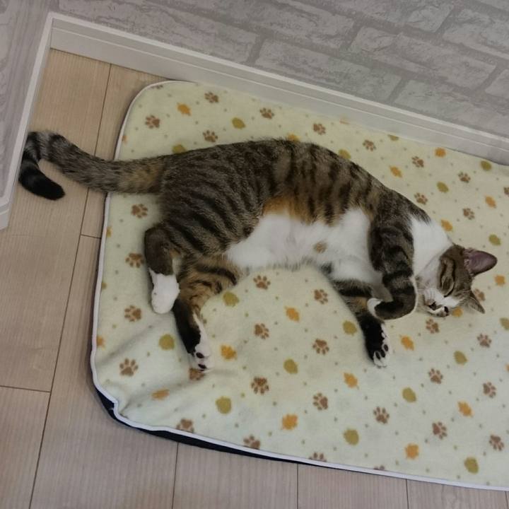 Ec56faf0 2854 4b70 b702 69d6924e83a5