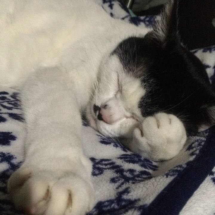 Ec57633a a7af 4602 9965 ad65a887caa3