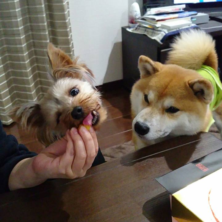 Ec57a913 7429 45a2 8a8a 8d87b4597a23