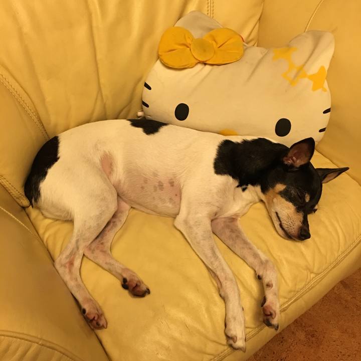 Ec580d94 0c95 4d70 b3cc e06c3fb4a029