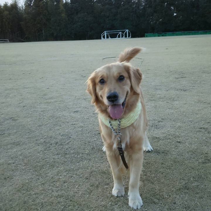 Ec595217 ea13 4ffe 9c2e 327addcca067