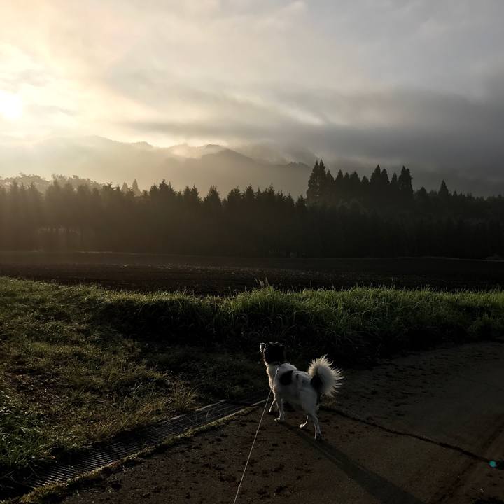 Ec59a982 b34a 4e6a 8c82 cf61770c5c0c