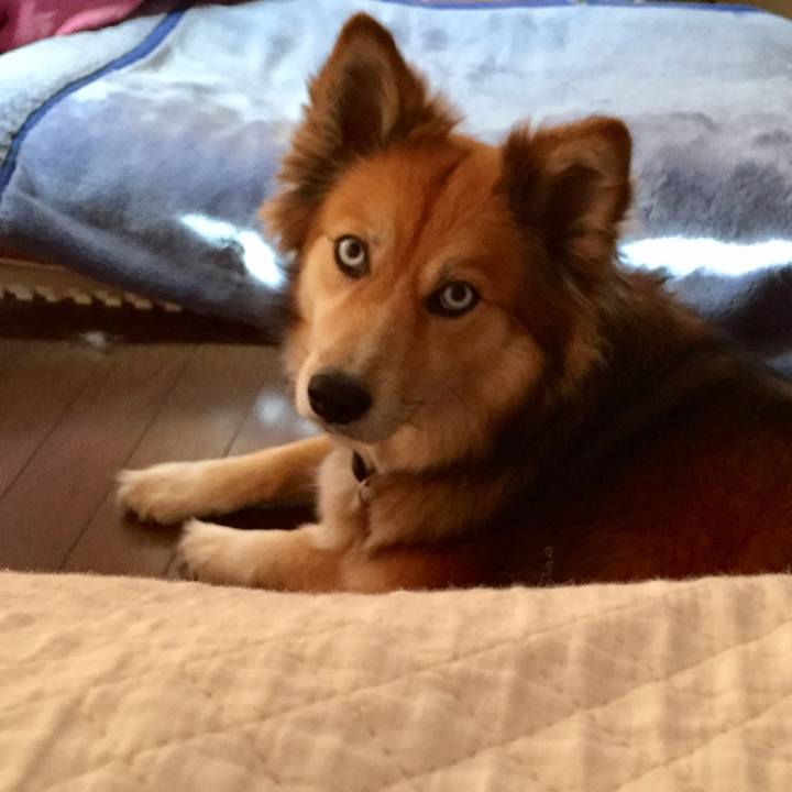 Ec59bab9 1987 44b3 bb10 f0c58a3b4920