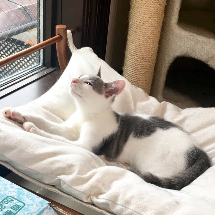 Ec59c8b9 ce01 4d02 aca5 9ffd45e7e215