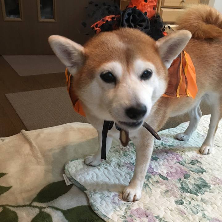 Ec5a0b9a 1622 4cf8 b035 2ce0d0c50e1d