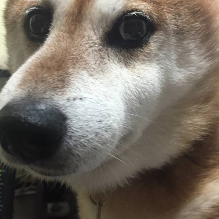 Ec5a4682 ab0e 4a24 8d10 3b71399f6f79