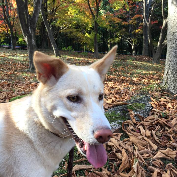 Ec5a4cda 2554 4c90 af85 27df5d87eeb3