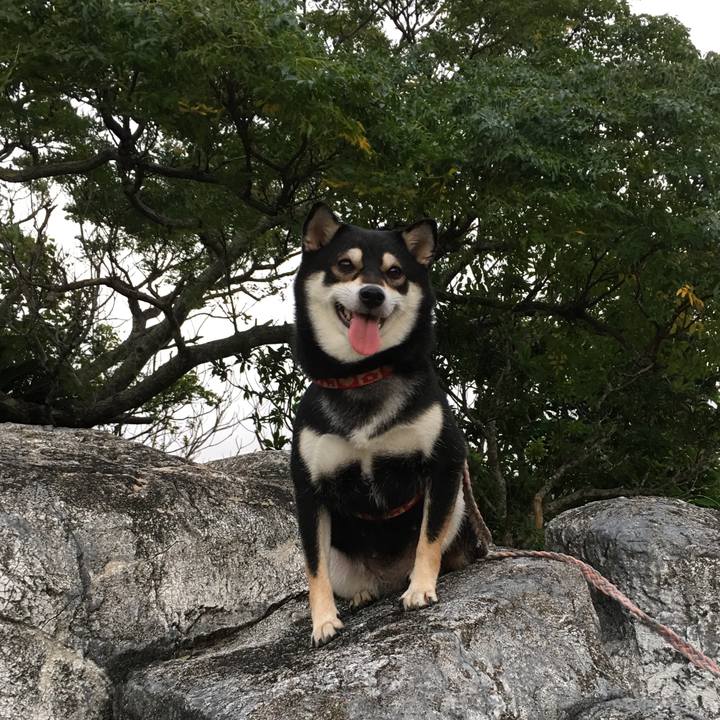 Ec5acfdd b6f6 4e31 b26e 7aaf4a669ec0