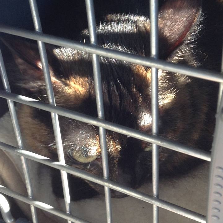 Ec5b0cfa 9d41 43eb adb8 5343b1ee56cf