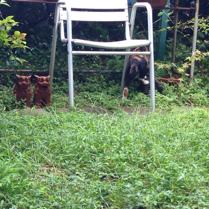 Ec5b5acd f460 48f0 9fa3 20a5c0f1f203