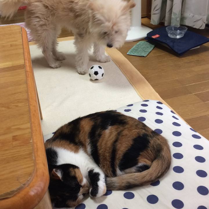 Ec5bd87a 83f9 4102 9c18 fe2513936254