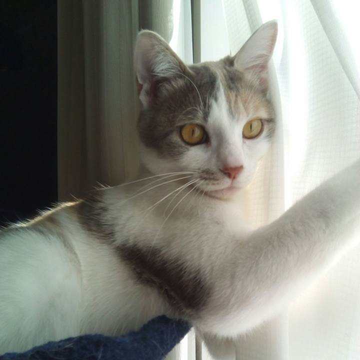 Ec5bd99e 15ef 4d00 b3a2 143f2960e185