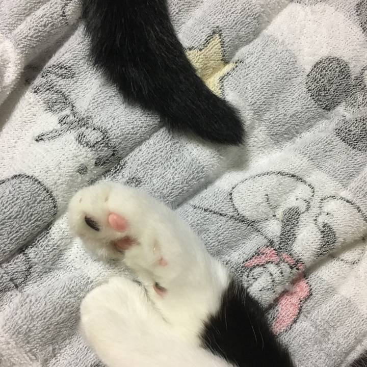 Ec5cce9e 30c7 4bc5 ad9f 75b3645ee182