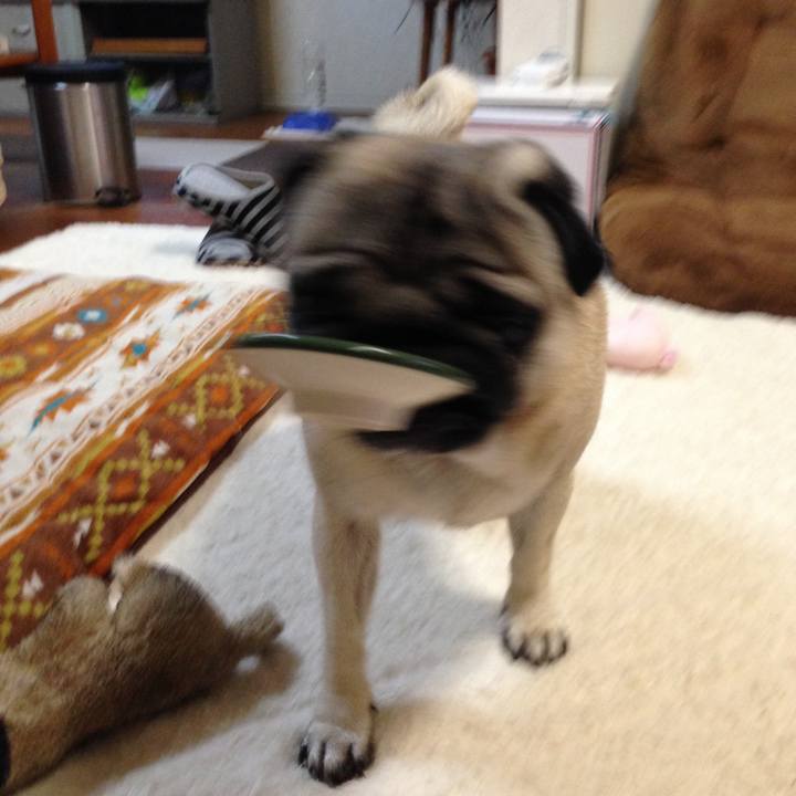 Ec5cd95e bcc2 4ba7 b7d2 5d46416c4213