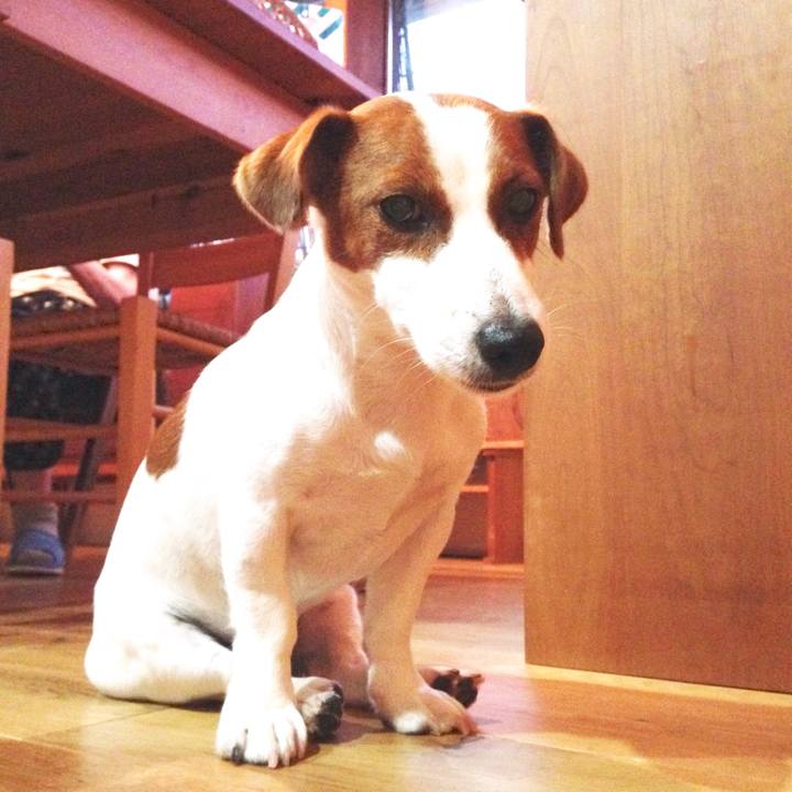 Ec5da6cc af54 4f11 b5b5 aa60a2cda01a