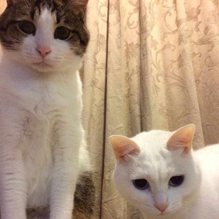 Ec5e4825 3983 43e4 a9d9 b081ac1bb1e3