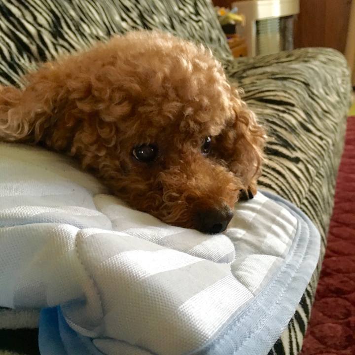 Ec5e9253 c75c 42e7 9a75 ebd7ca78299e