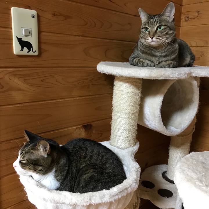 Ec5eae79 820f 4374 9fd5 b44b8f1e25ed