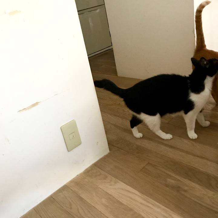 Ec5f8ba9 311c 4506 af27 34e76c944aae