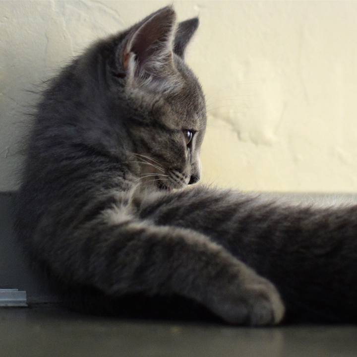 Ec5f913d 09d4 464f bf0c 0ef57090d243