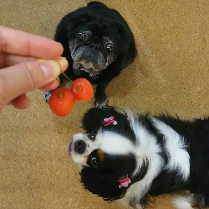 Ec5ff26f 4b42 45dd 9acb 27a0c7bfbb4b