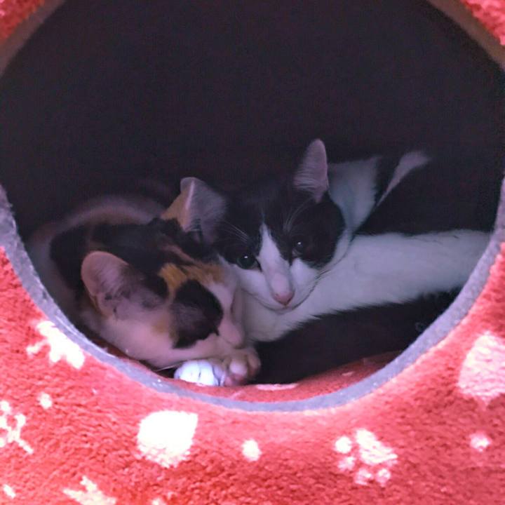 Ec5ff6ad fb4b 44f4 9096 fe26a9a1df89