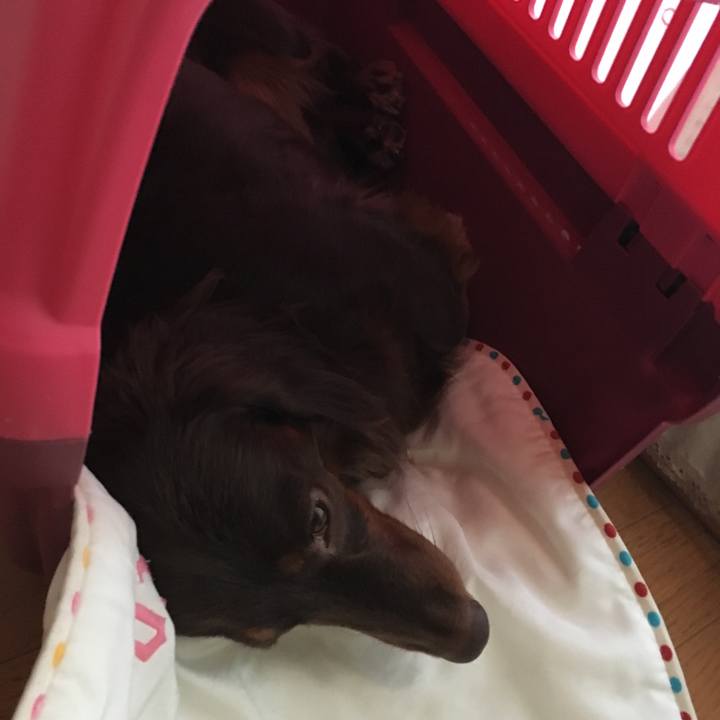 Ec60fea8 e42a 46af a401 5c1a74cd9b26