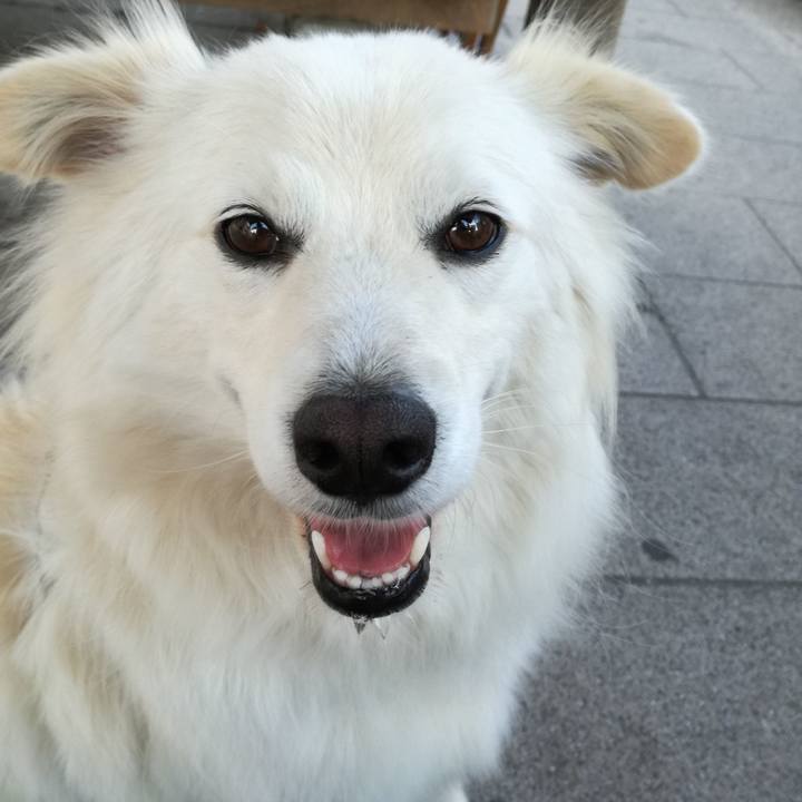 Ec62aead e66b 42b9 95d8 0df0de55b502