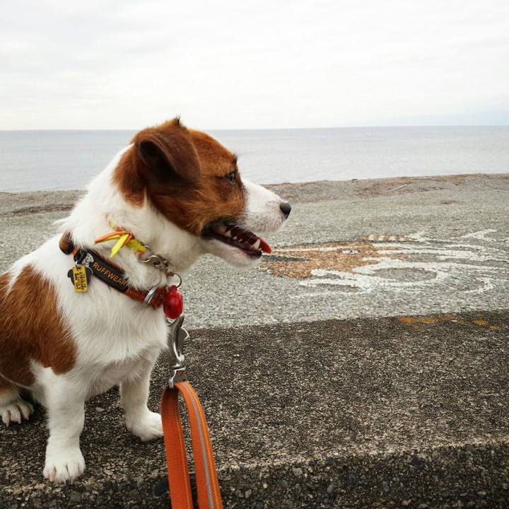 Ec6304e9 802a 4efe 843c 9883906c9f94