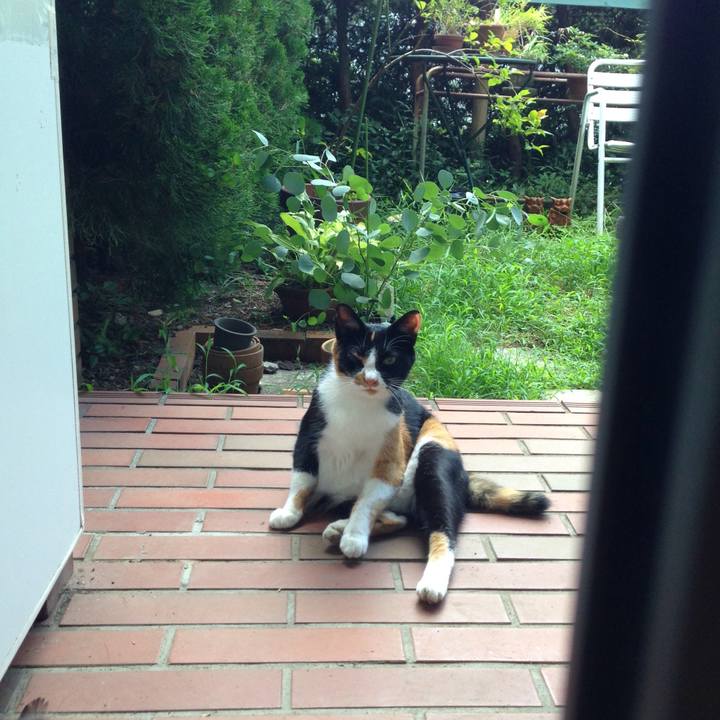 Ec6312b6 615a 4a6c b796 9bc973b75d42