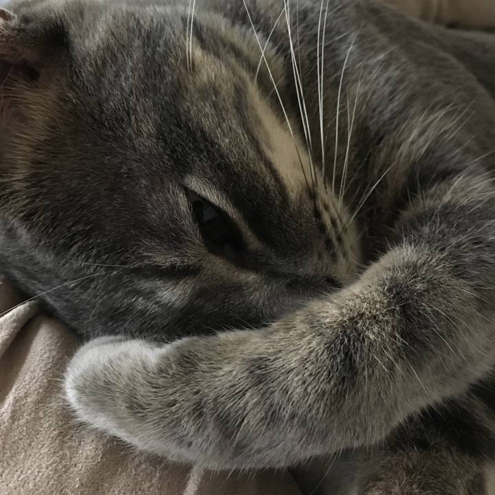 Ec631e8b 5c3b 4ee8 8584 cb3df5babcb8