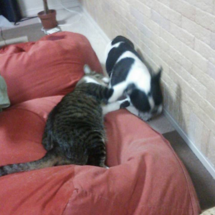 Ec63844d 5809 4f99 bc1d 9af9f88ed6b4