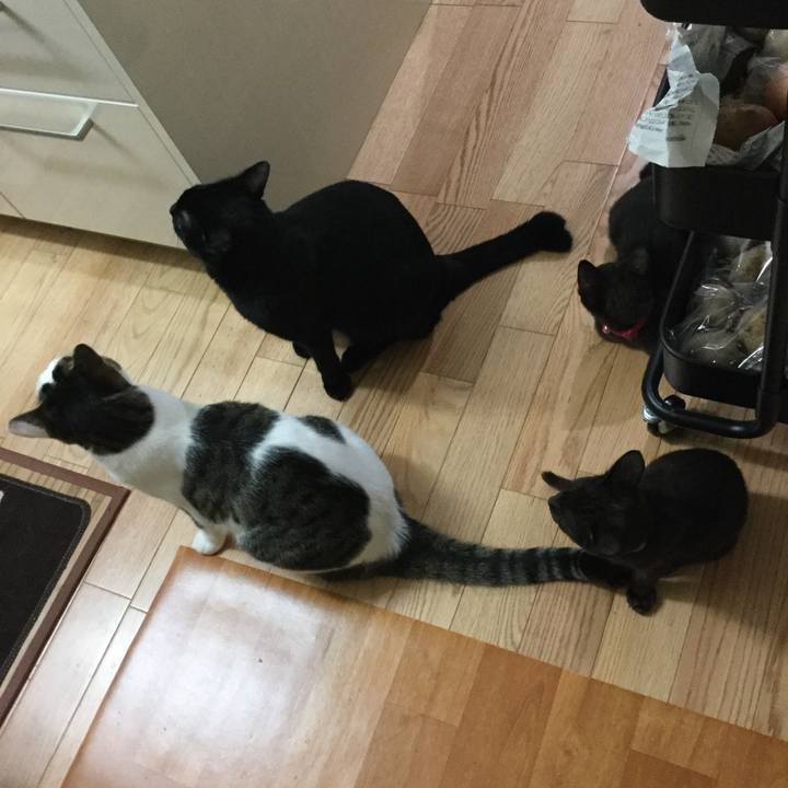 Ec63d234 695d 40a2 9cc0 935afe1175cc