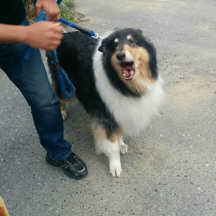 Ec646a64 5575 40a7 85a0 9210c4b498d6