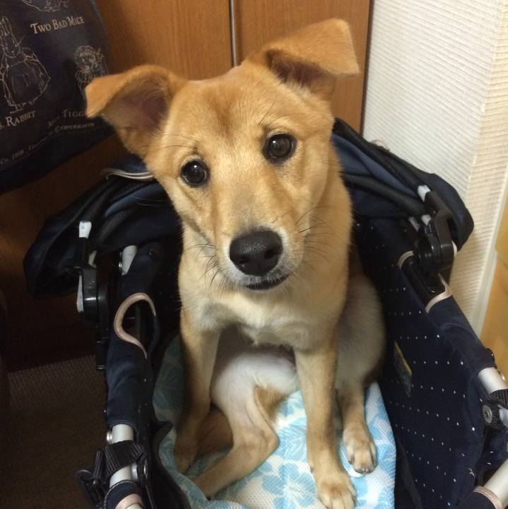 Ec647a5b cc51 406e ad93 cf13f3fdcfe0