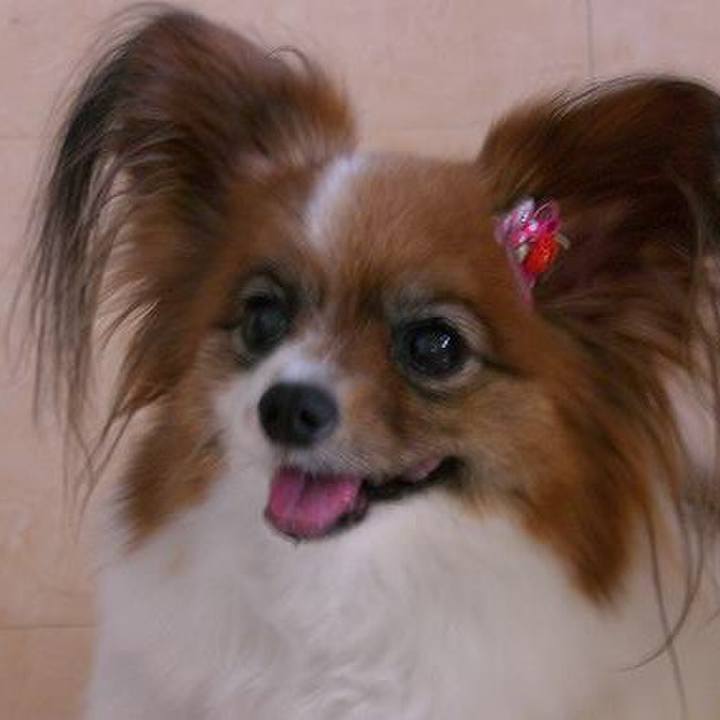 Ec64984f 08c5 4171 98e0 04dd514a85a3