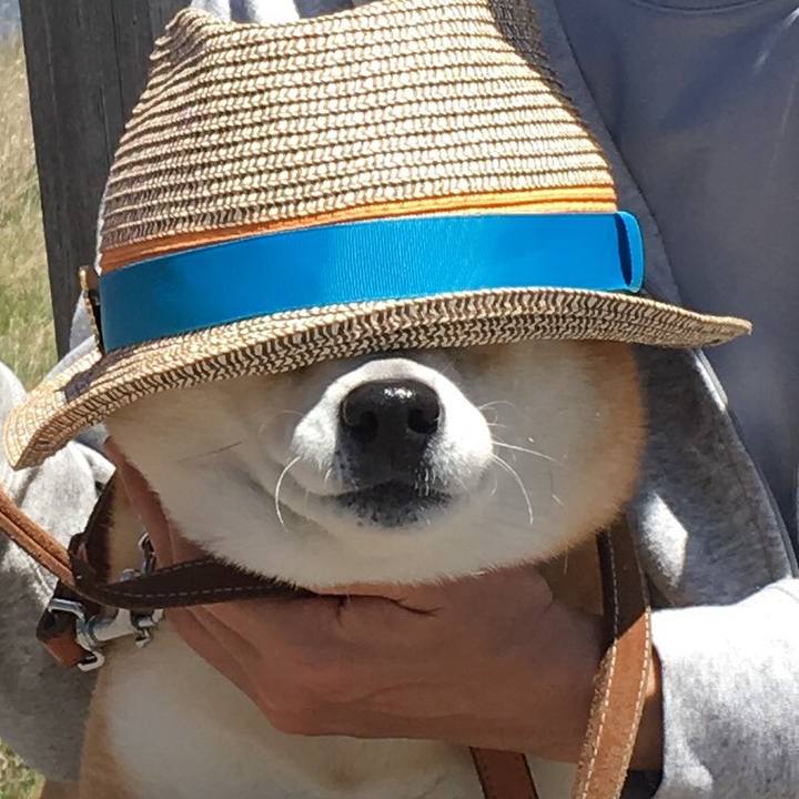 Ec64ced0 63c4 4018 a145 8dc84f83b22e