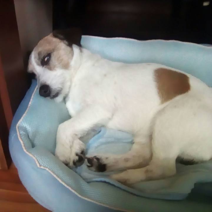 Ec65c7b8 cb91 4dfb 88c0 cd33443ff63d