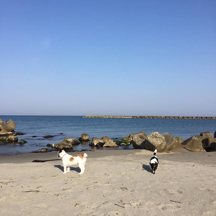 Ec65c9ae 83b8 4fca abe2 a25caa4abd11