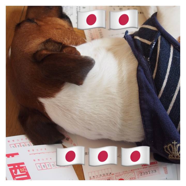 Ec668970 82b0 4ae8 9606 7f7dcc0c3bcc