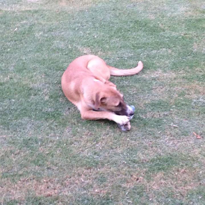 Ec669d09 d730 4436 aac8 a1b80b15812c