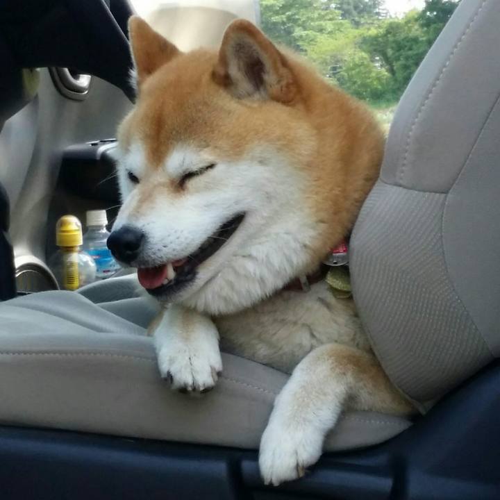 Ec66d159 7c18 477d 9a67 beef201b8cda