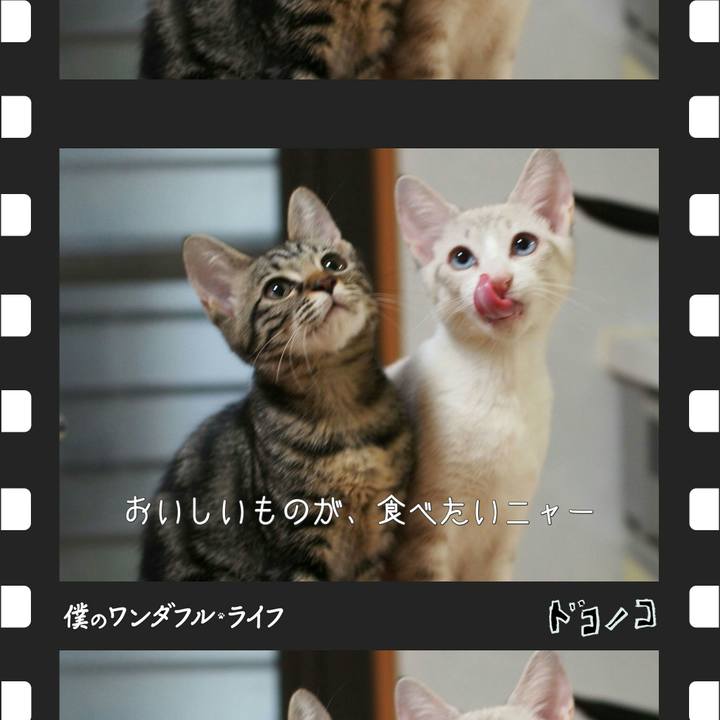 Ec66da0e 5704 4980 b394 f6cf19d58661