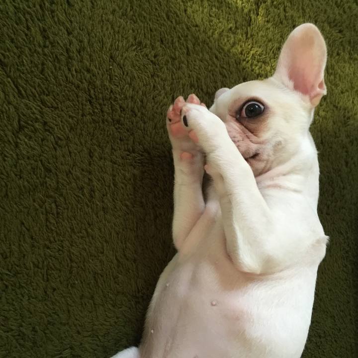 Ec670369 5ffa 43de 8aaa 5db88ec4e53d