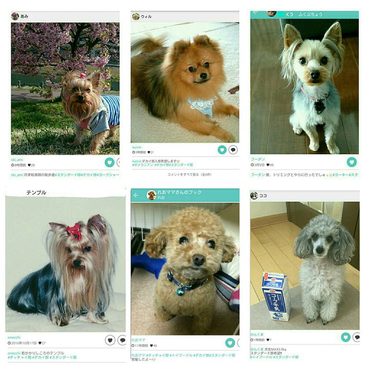 Ec67b281 ca36 4800 9655 71d737139f40